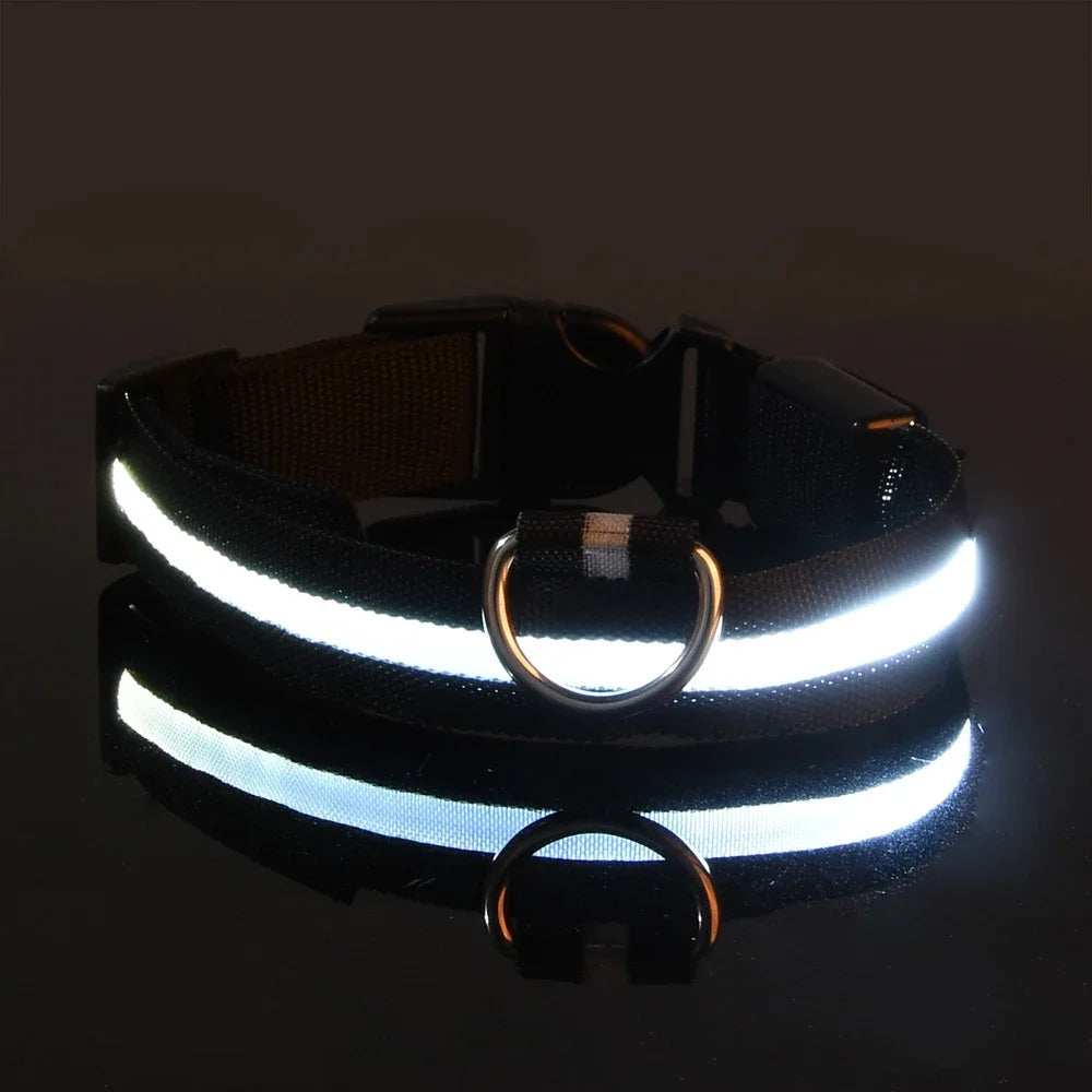 LED Glow-in-the-Dark Dog Leash & Collar – Night Safety Flashing Nylon Gear for Dogs & Pets