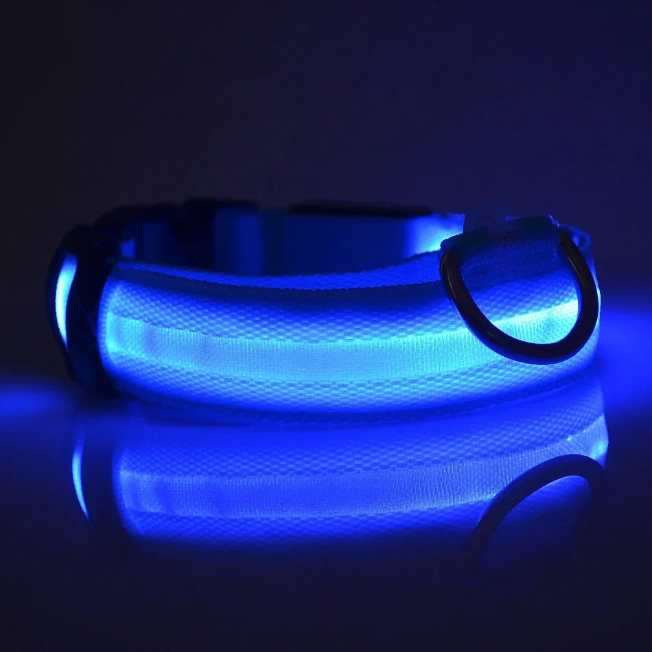 LED Glow-in-the-Dark Dog Leash & Collar – Night Safety Flashing Nylon Gear for Dogs & Pets