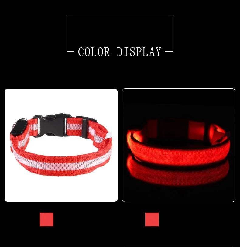 LED Glow-in-the-Dark Dog Leash & Collar – Night Safety Flashing Nylon Gear for Dogs & Pets