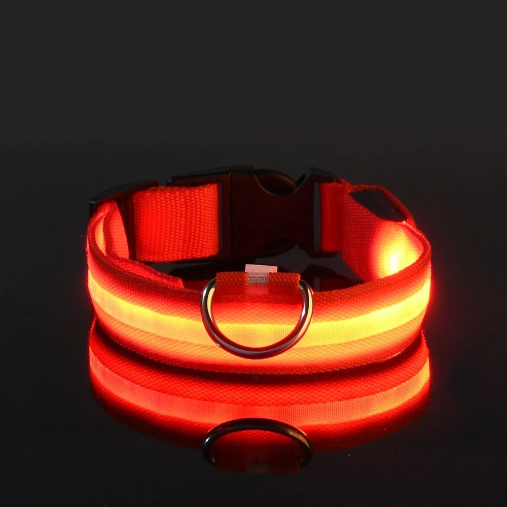 LED Glow-in-the-Dark Dog Leash & Collar – Night Safety Flashing Nylon Gear for Dogs & Pets