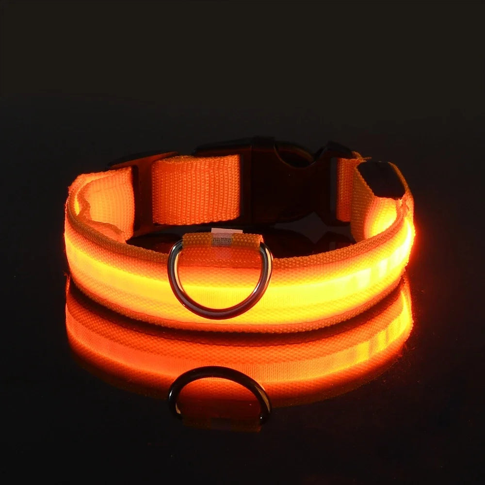 LED Glow-in-the-Dark Dog Leash & Collar – Night Safety Flashing Nylon Gear for Dogs & Pets