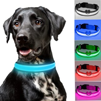 LED Glow-in-the-Dark Dog Leash & Collar – Night Safety Flashing Nylon Gear for Dogs & Pets